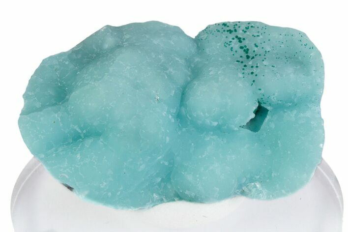 Blue-Green Zincolibethenite on Sparkling Smithsonite - Congo #380032